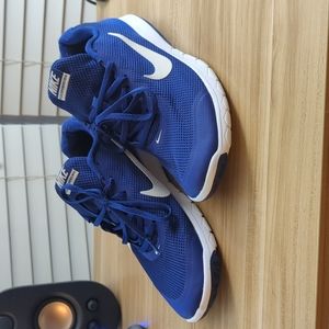 Nike men's flex experience RN 4 Blue running shoes